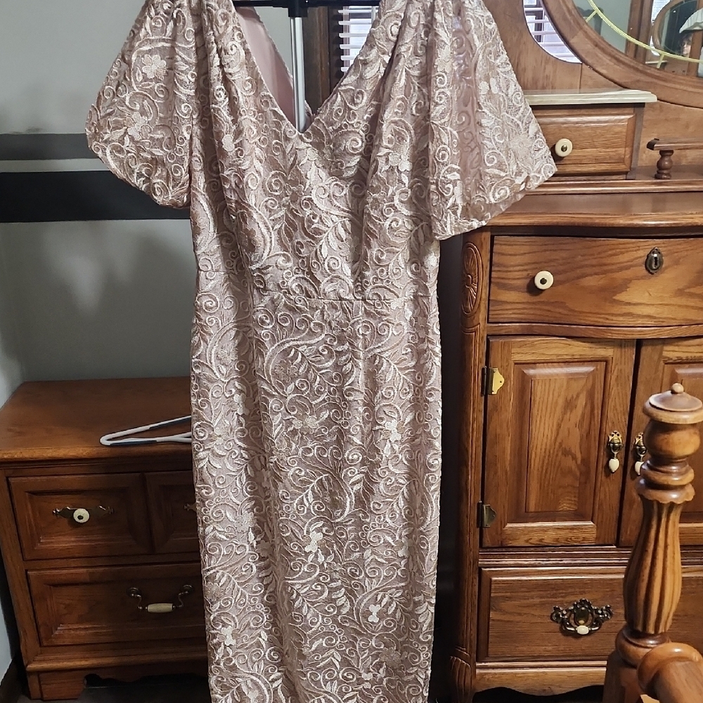 Elegant Lace Dress in Cream
